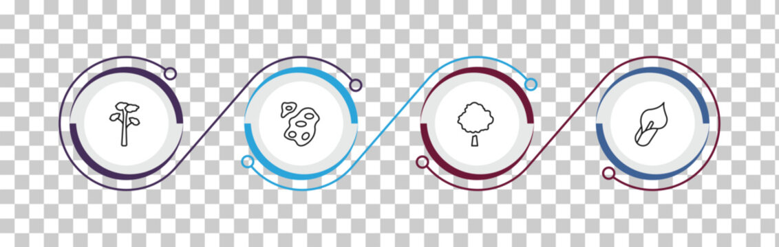 outline nature icons set - pitch pine tree, asteroids, beech, calla. editable vector for web and mobile ui