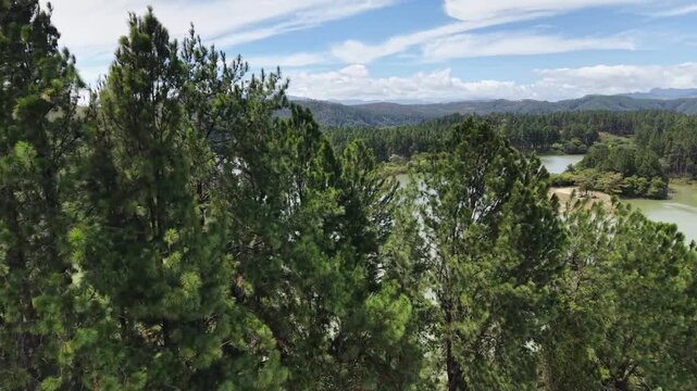 Parque Nacional La Yeguada