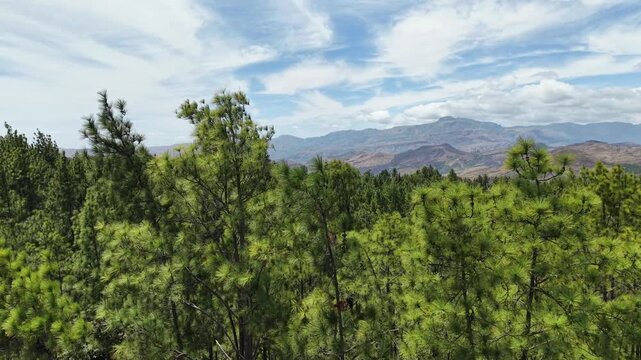 Parque Nacional La Yeguada