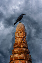 Fototapeta premium Black crow perched on top of an ancient buddhist pagoda spire in Myanmar. A large black crow sits on the carved stone finial of traditional brick stupa under a dramatic stormy sky in Bagan, Burma