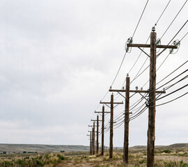 Obraz premium Row of wooden power line poles in grassy landscape. Electric utility infrastructure for power transmission and distribution. Concepts of energy, industry and modern civilization.