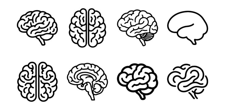Brain Icons Set: Medical, Science, Psychology, Neurology, Anatomy, Thinking, Ideas