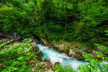 Fototapeta premium Wooden walkway through the Vintgar gorge near Bled lake in Slovenia, breathtaking views of the Radovna river