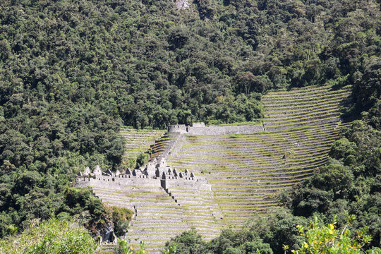 Inca Terraces Hidden in the Forest