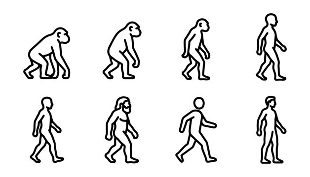 Human evolution theory line icons set, 8 vector symbols of primate to man progress, biological development stages of homo sapiens