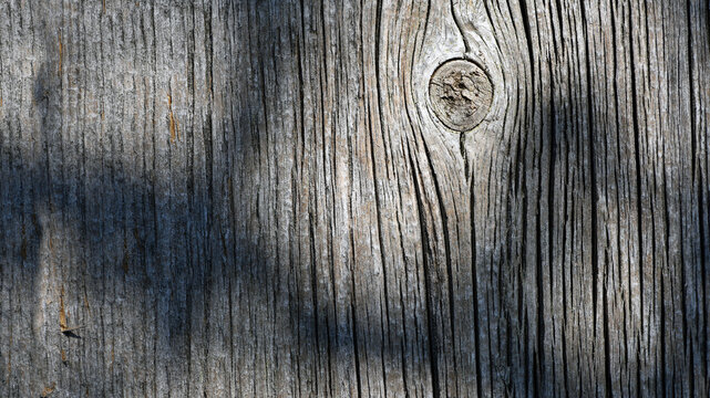 Wooden texture old boards. vintage boards. Stylish background for presentations and text. Abstract texture of old boards. the wood is destroyed. wood texture. knots, imperfect surface
