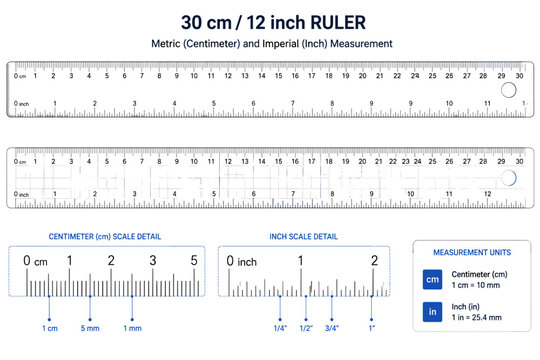 Dual scale ruler showing metric and imperial measurements for precise length calculation