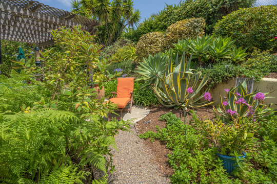 Backyard home and garden California.