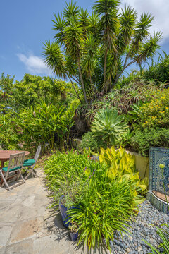 Backyard home and garden California.