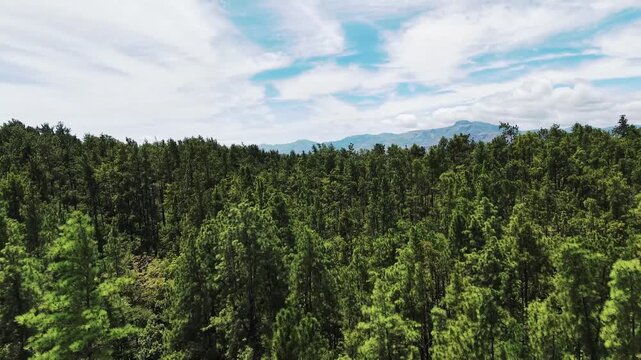 Parque Nacional La Yeguada