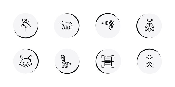 insects outline icon set featuring spider, polar bear, hair dryer, firefly icons.