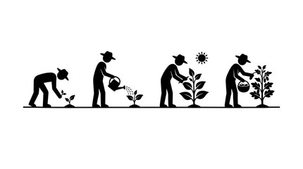 Fototapeta premium Farmer tending to plants from seedling to harvest showing growth and cultivation stages