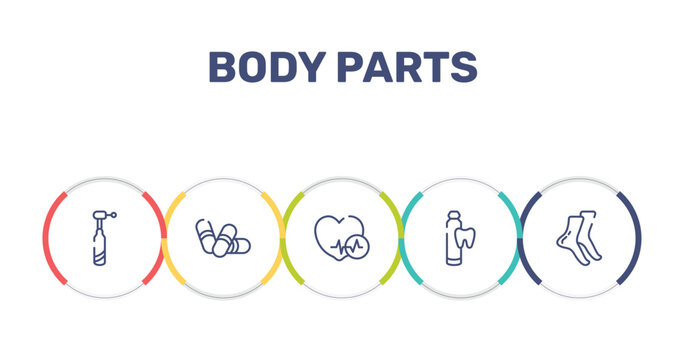 body parts outline icon set featuring dentists drill tool, pill capsule, heart black shape, toothpaste tube icons.