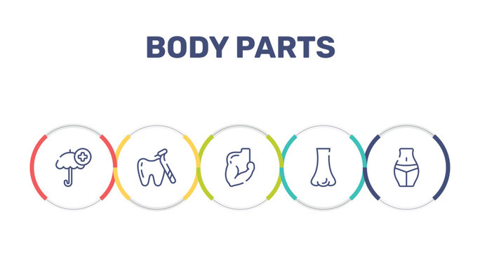 body parts outline icon set featuring umbrella with plus, tooth with a dentist tool, muscular arm, e icons.