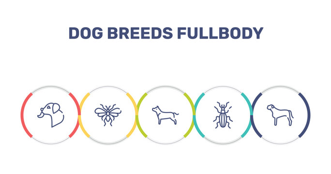 dog breeds fullbody outline icon set featuring dog licking, null, american staffordshire terrier, null icons.