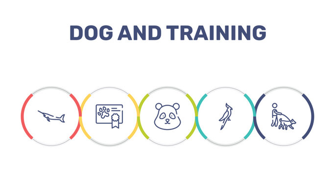 dog and training outline icon set featuring big swordfish, health certificate, panda bear head, nymphicus hollandicus icons.