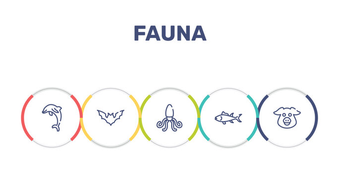 fauna outline icon set featuring jumping dolphin, plain bat, giant squid, big tuna icons.