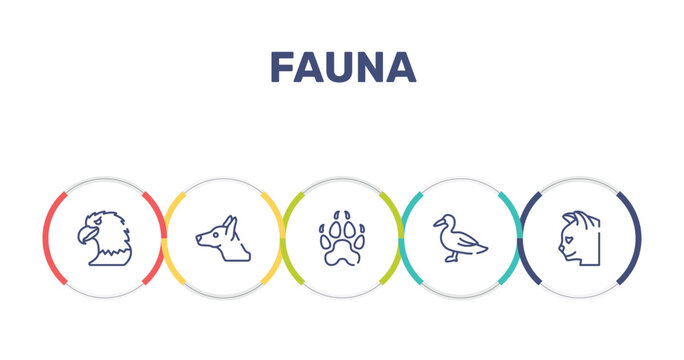 fauna outline icon set featuring eagle head, doberman dog head, canine pawprint, wild duck icons.