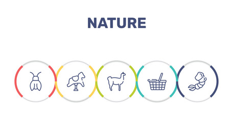 nature outline icon set featuring cicada, rocking horse, llama, food basket icons.