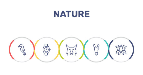 nature outline icon set featuring seahorse, wristwatch, lynx, donkey icons. © VectorStockDesign