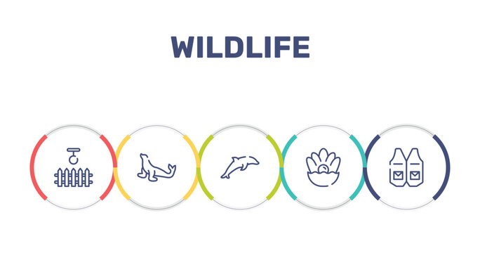 wildlife outline icon set featuring swing, sea lion, dolphin, pearl icons.
