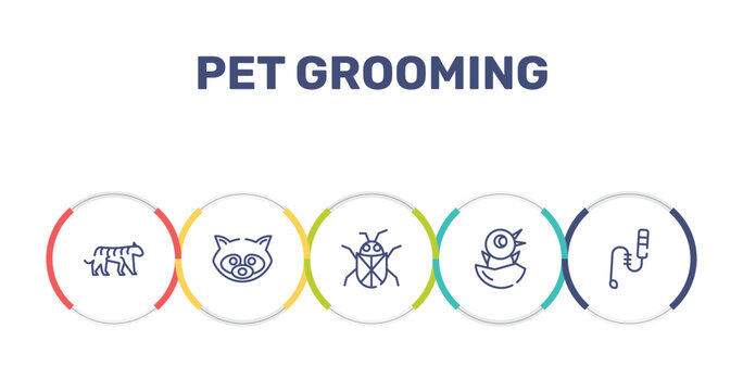 pet grooming outline icon set featuring tiger, raccoon, beetle, chick icons.