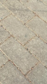 Worn paving stones top view close-up showing weathered concrete pavers with eroded joints, sand filled grooves, subtle gray tones