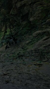 Hikers walk along a rocky trail surrounded by thick vegetation. The steep cliff rises beside them. The time of day appears to be late afternoon.