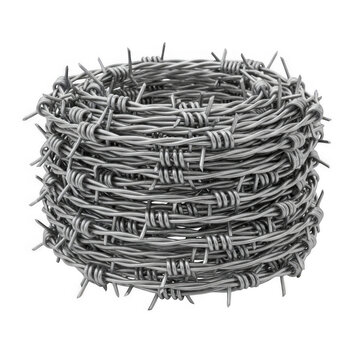 Coiled roll of silver barbed wire on transparent background cutout.