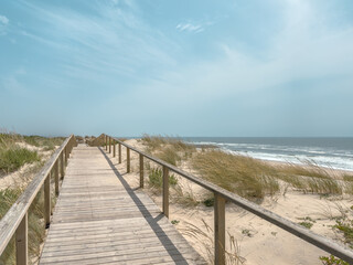 Obraz premium A wooden boardwalk stretches through sandy dunes toward the vast Atlantic Ocean at Praia de Mira in Portugal under a calm bright sky
