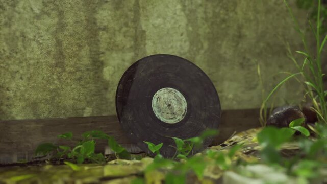 Retro vinyl record propped on concrete slab, small purple blossoms and damp mortar frame object, label contrasts with rough wall, deep shadow adds drama. Scene