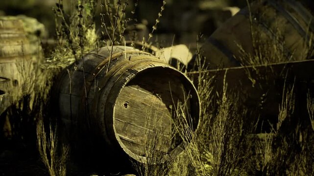 Wooden barrels lay on their side amid tall grass, hinting at stories of the past. The fading light of evening casts a warm glow over the rustic scene, creating a sense of nostalgia.