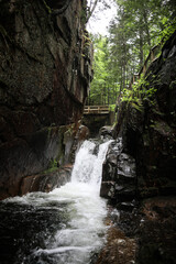 waterfall in the forest © Miles Woodworth