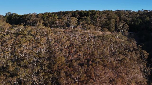 Woodforde, Adelaide Hills, South Australia &ndash; 4K Aerial Drone Footage of Morialta Conservation Park, Rocky Cliffs, Bushland Trails, Waterfall, Wilderness Canyon and Natural Landscape