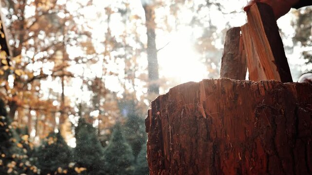 The process of chopping firewood in the sunlight outdoors.Firewood as a Heating Resource.Chopping a log into splinters. 4k footage