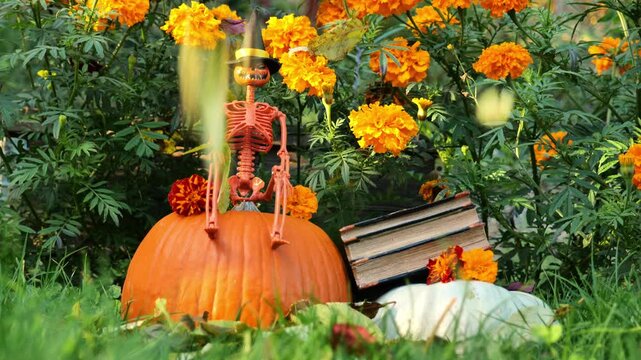 Day of the Dead and Halloween book concept. A skeleton, a stack of books, a pumpkin, and falling leaves in a sunny autumn garden. 4k footage