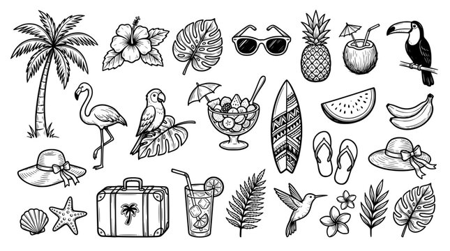 Set of tropical summer elements