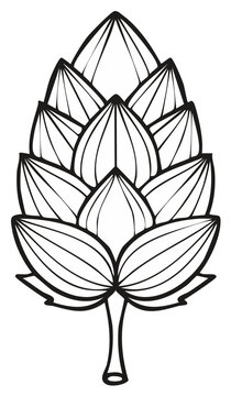 Black and white outline illustration of hop cones, vector image.