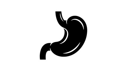 Obraz premium Stomach Anatomy Silhouette Vector Icon for Medical Infographic
