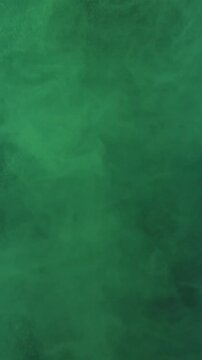 Holi festival. Colored powders fly up and fall down. Filmed on a high-speed camera at 1000 fps. High quality FullHD footage