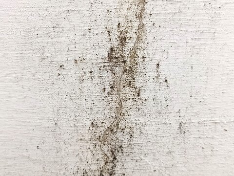 Dirty white concrete wall texture with mold and damp patches caused by water damage and high humidity.