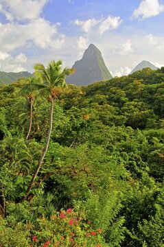 Tropical landscape with the two Pitons, Gros Piton 770m and Petit Piton 743m, Soufriere, St. Lucia, Lesser Antilles, West Indies, Caribbean Islands