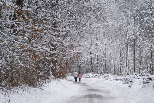 Walkers in snow covered forest Muehltal near Munich Germay