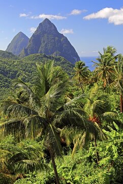 Tropical landscape with the two Pitons, Gros Piton 770m and Petit Piton 743m, Soufriere, St. Lucia, Lesser Antilles, West Indies, Caribbean Islands