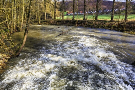 River landscape, natural river Nethe, riparian vegetation, nature reserve, European natural heritage, Rheder, Brakel, Teutoburger Wald Eggegebirge nature park Park, Germany