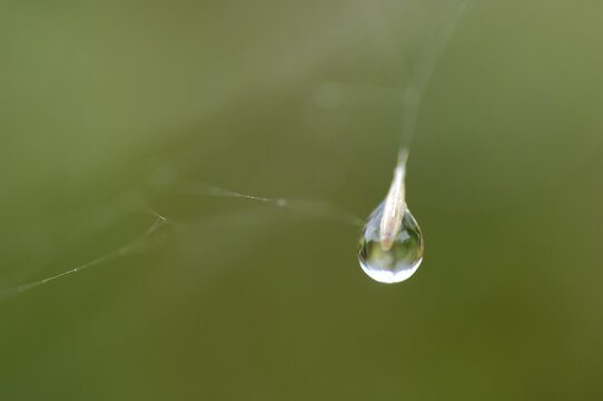 Dew drop hanging in a spider net