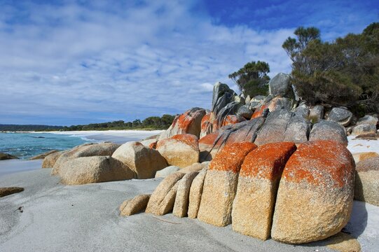 Beach, Bay of Fire, Tasmania, Australia