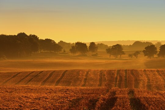 Stubble field at sunrise in the first morning light, cultural landscape in summer, rolling hills, M&auml;rkische Schweiz nature Park, Brandenburg, Germany