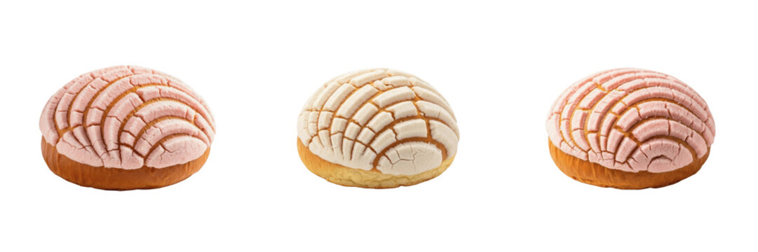 Concha baked bread pastry food specimen displaying structural culinary parameters, organic material chemical components, processing features within standard food science reference archive dataset