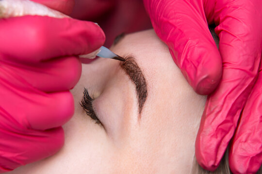 Permanent tattoo makeup procedure. Eyebrow tattoo make-up. Brow tattoo. Close up, selective focus